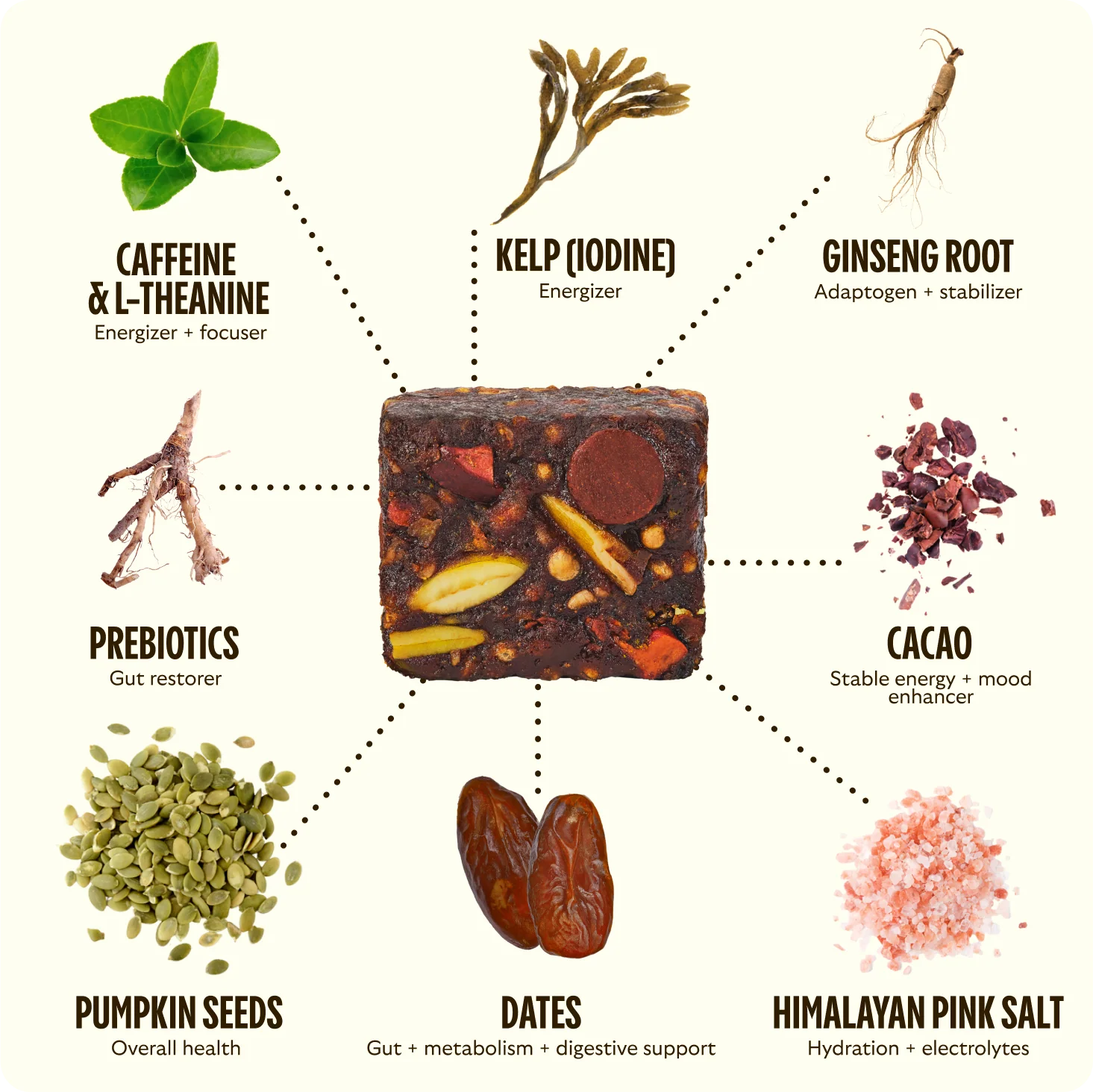 Energy Bite - Chocolate Sea Salt Welcome Kit - Image 3